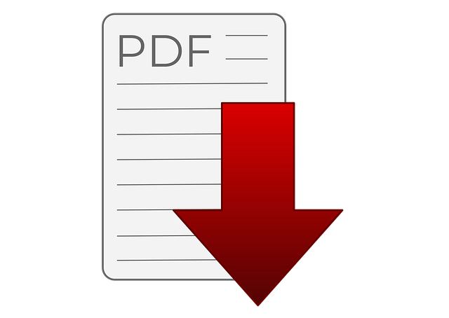 pdf-transcript-of-article