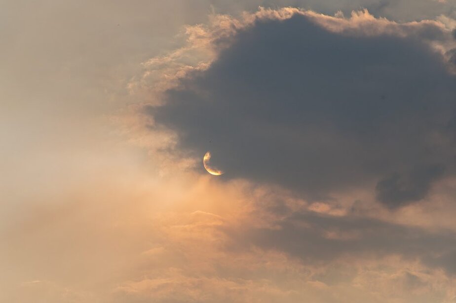 Bushfire Ready Homes – FireRescue inline image from Pixabay