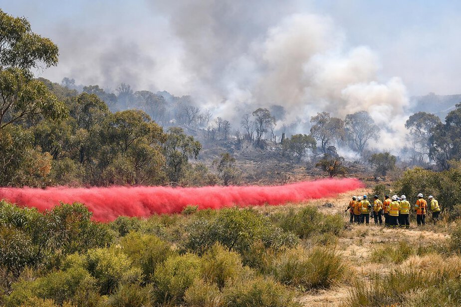 A retardant line laid ahead of unburnt vegetation during a bushfire response.